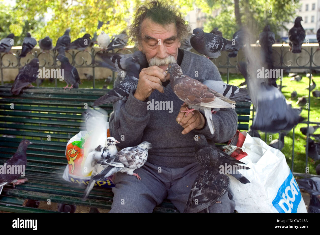 Parigi, uomo vecchio piccioni di alimentazione Foto Stock