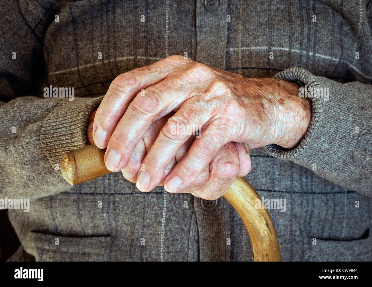 Artritici mature le mani di un uomo anziano con Articolazioni gonfie, a riposo su un bastone da passeggio. Regno Unito Foto Stock
