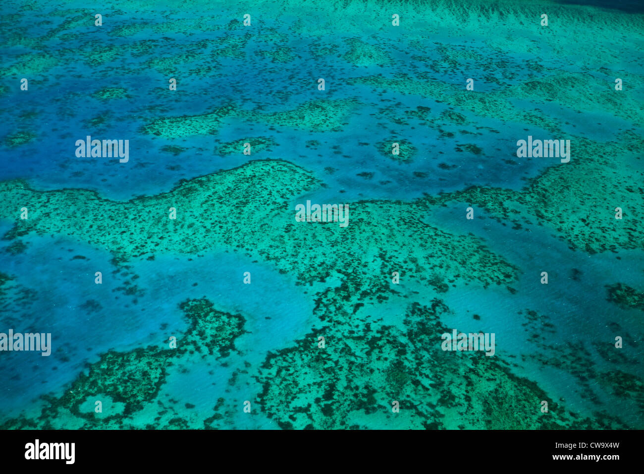 Vista aerea di Upolu Cay e barriera corallina e letti clam presso la grande barriera corallina del Mar dei Coralli al largo della costa del Queensland australia Foto Stock