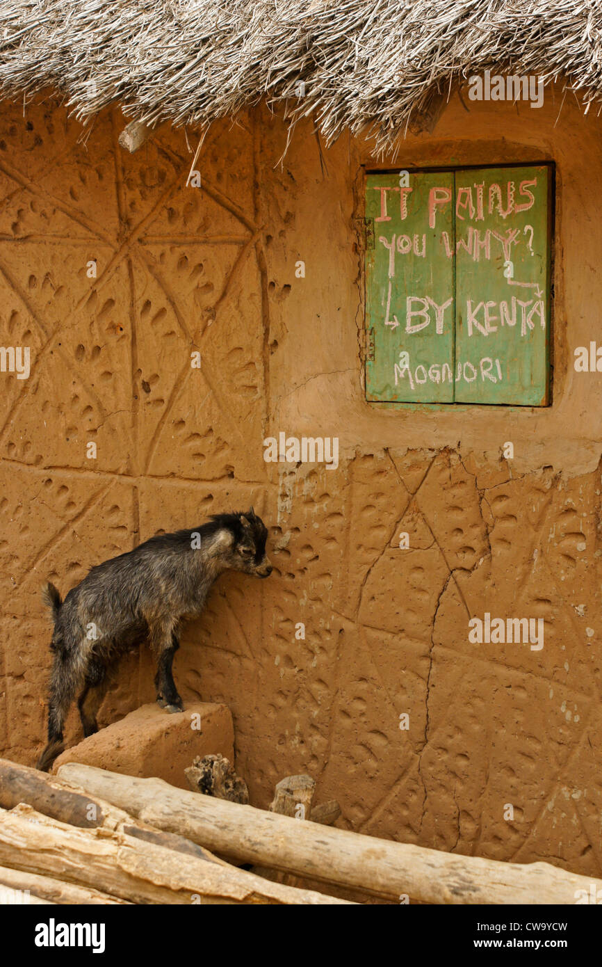 Baby capra e l' esterno della casa in Mognori Eco-Village, Ghana Foto Stock