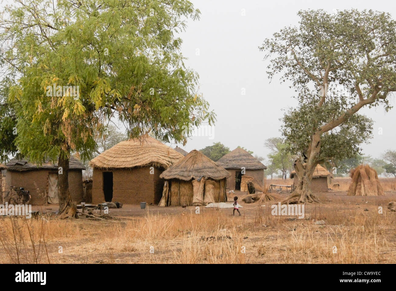 Con il tetto di paglia di mattoni di fango, capanne Saakpuli, Ghana Foto Stock