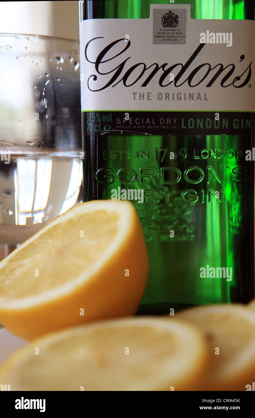 Bottiglia e bicchiere di gin Gordon's con alcune fettine di limone tagliato e giacente nella parte anteriore della bottiglia Foto Stock