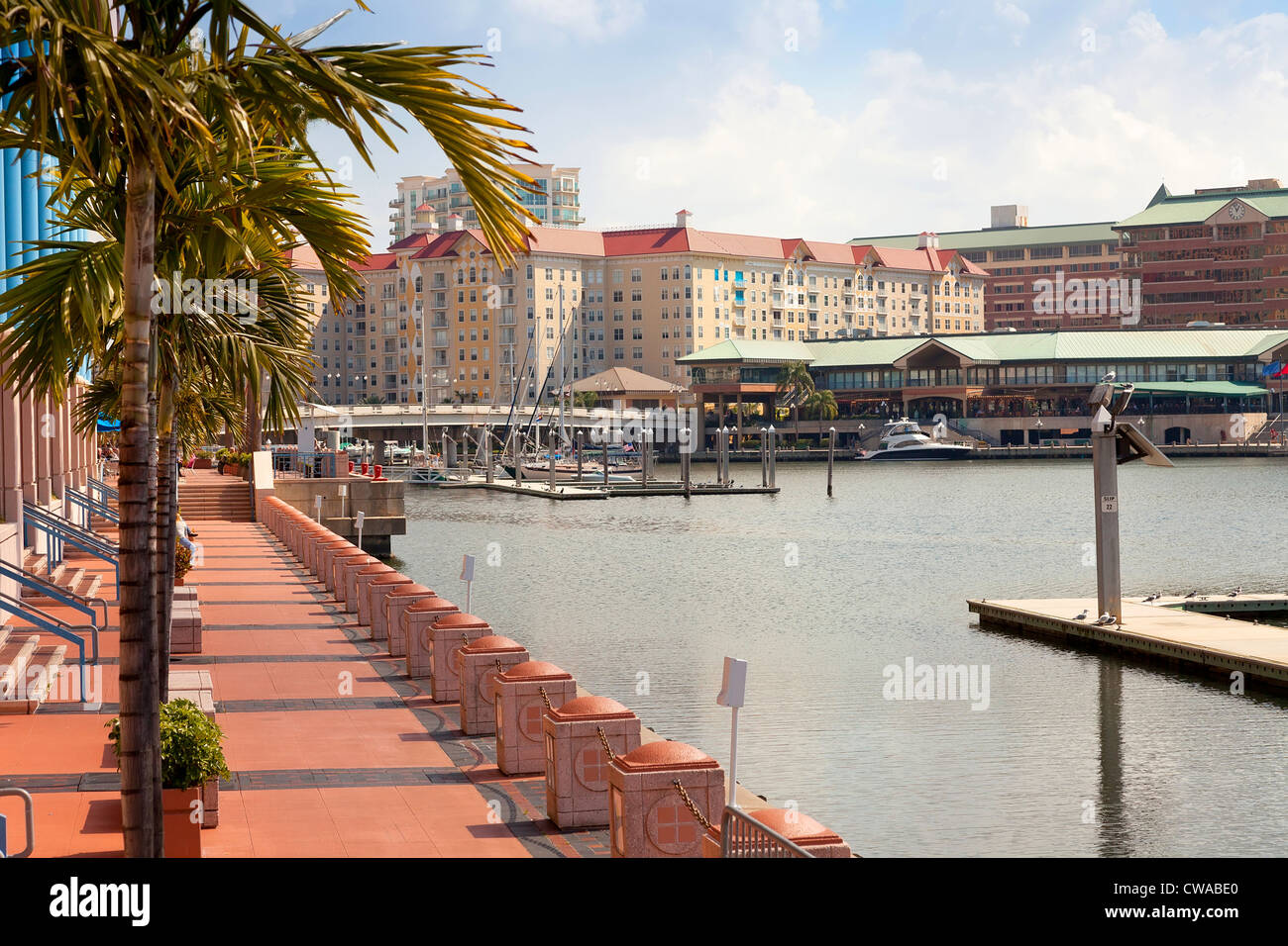 Tampa Convention Center e Harbour Island, a Tampa, Florida, Stati Uniti d'America Foto Stock