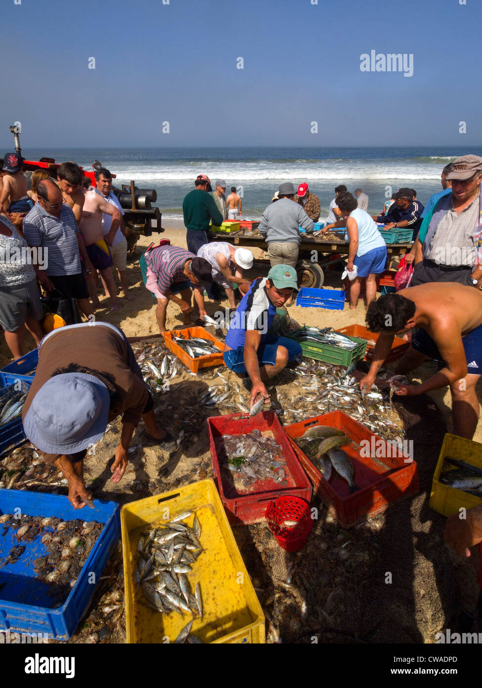 I pescatori di vendita del pesce presso la spiaggia di Praia da Tocha, Portogallo Foto Stock