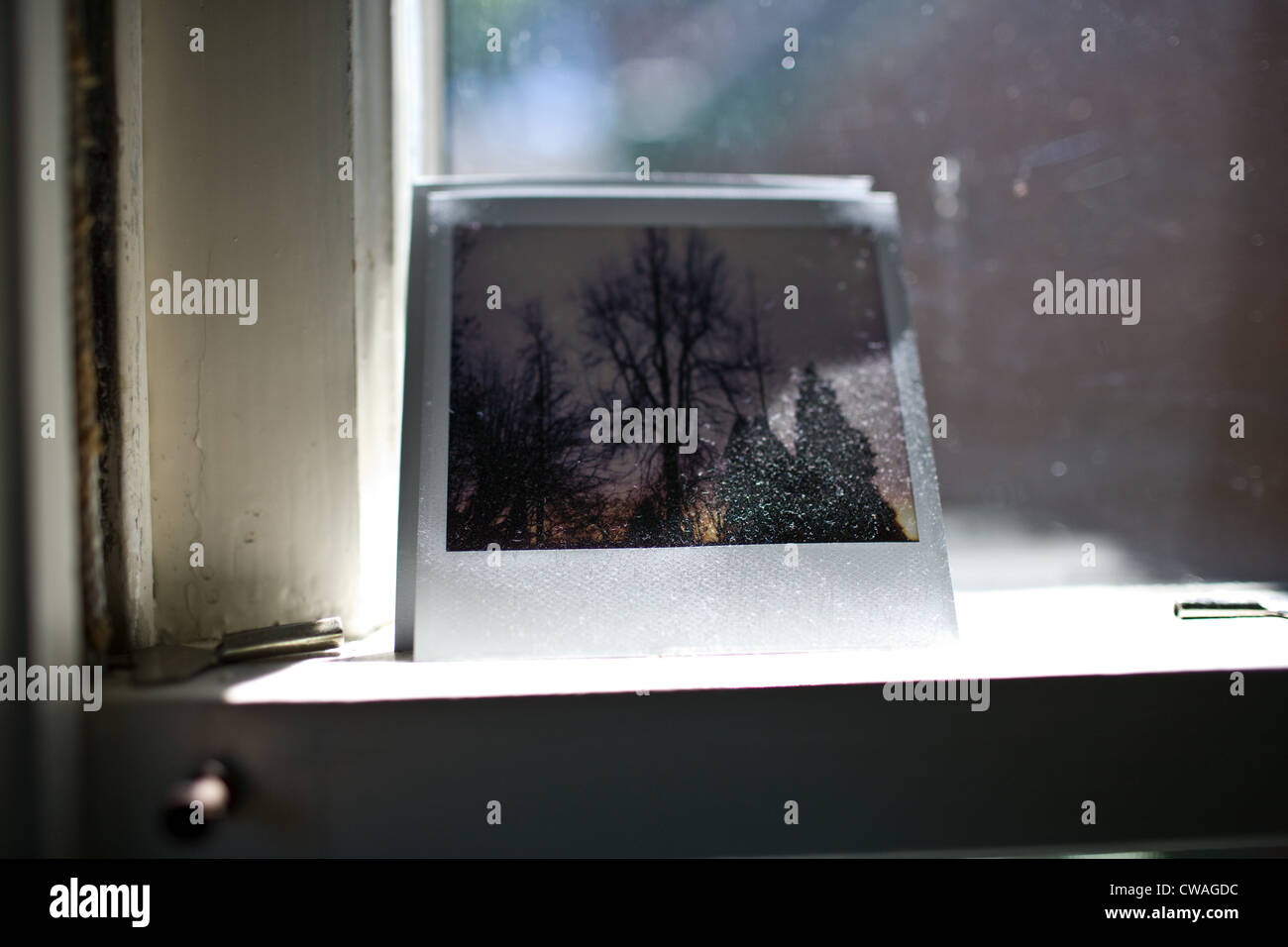 Pellicola Istante la fotografia sul davanzale Foto Stock