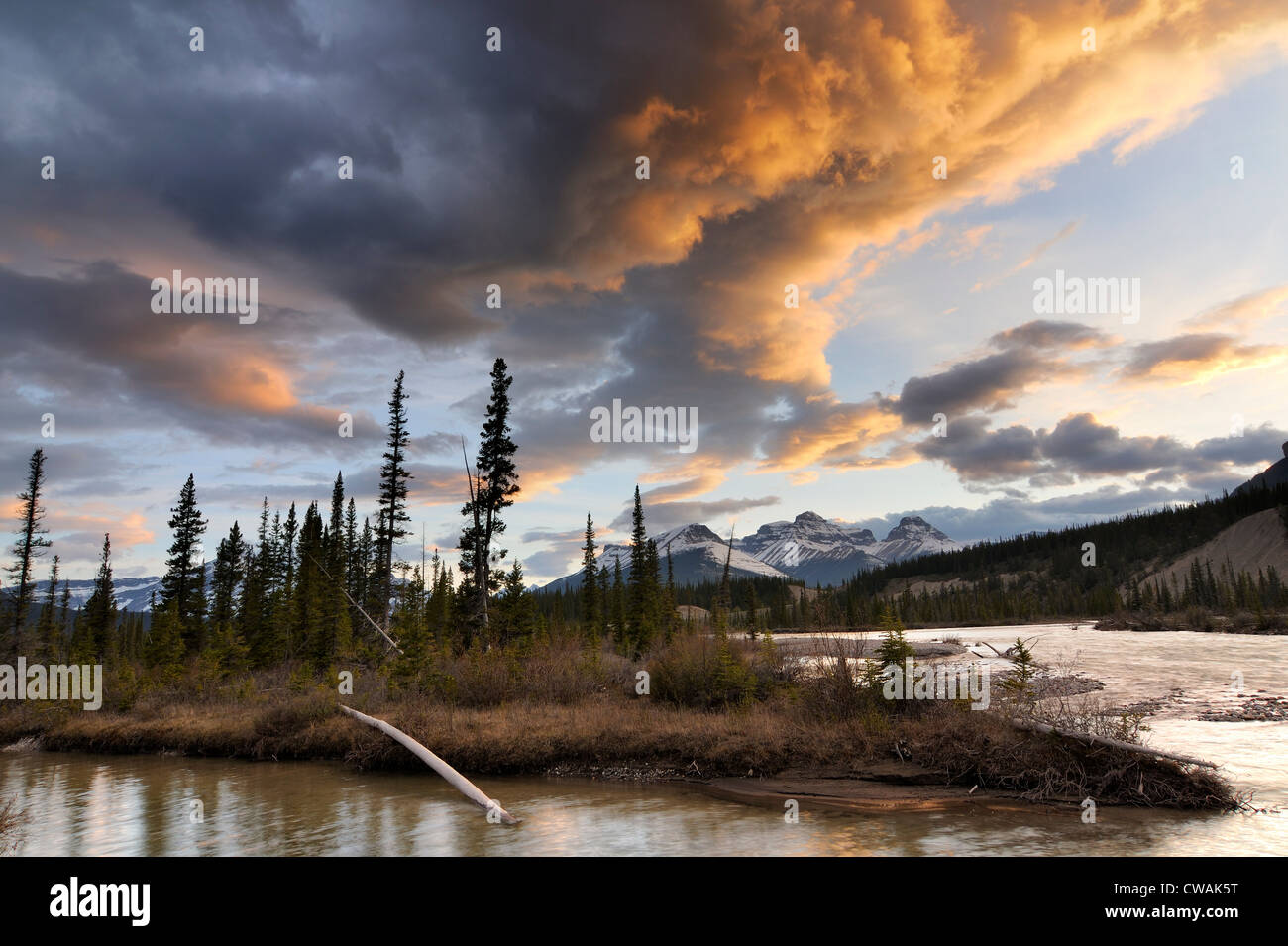 A nord del Fiume Saskatchewan, Mount Erasmus, il Parco Nazionale di Banff, Alberta, Canada Foto Stock