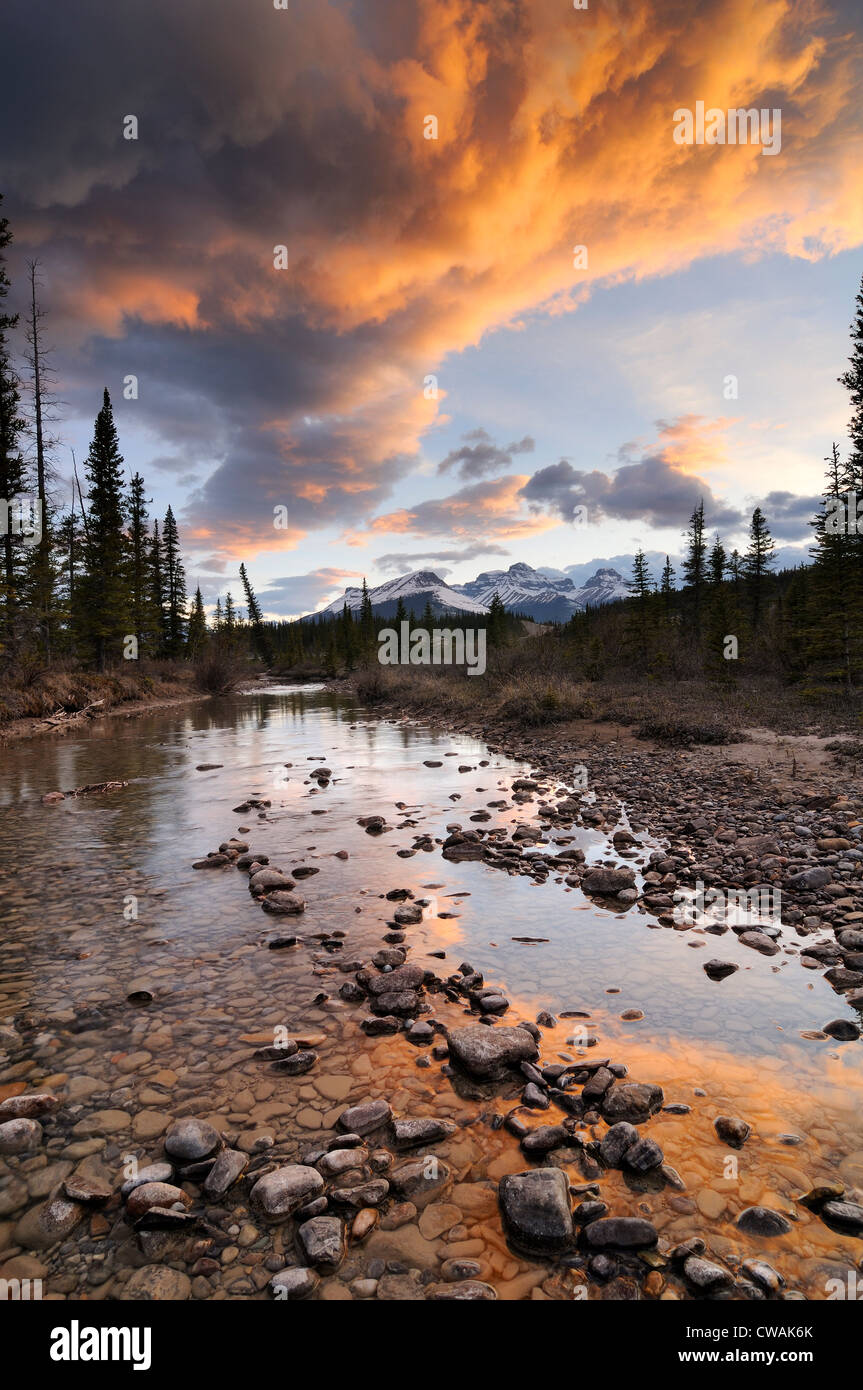 A nord del Fiume Saskatchewan, Mount Erasmus, il Parco Nazionale di Banff, Alberta, Canada Foto Stock