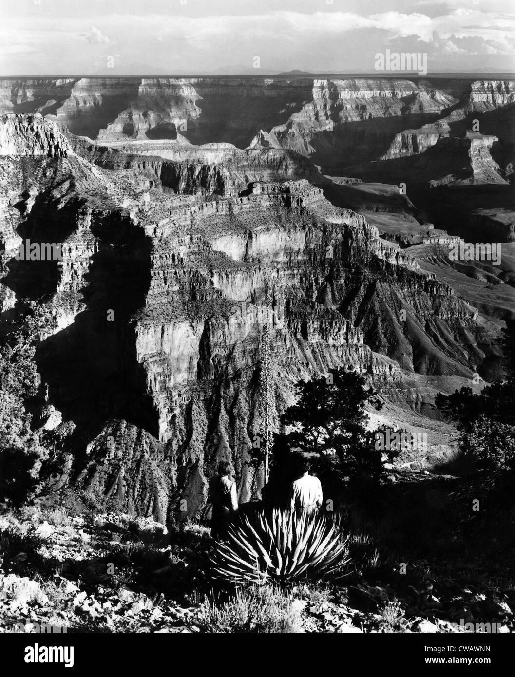 Parco Nazionale del Grand Canyon. ca 1950. La cortesia: Archivi CSU/Everett Collection Foto Stock