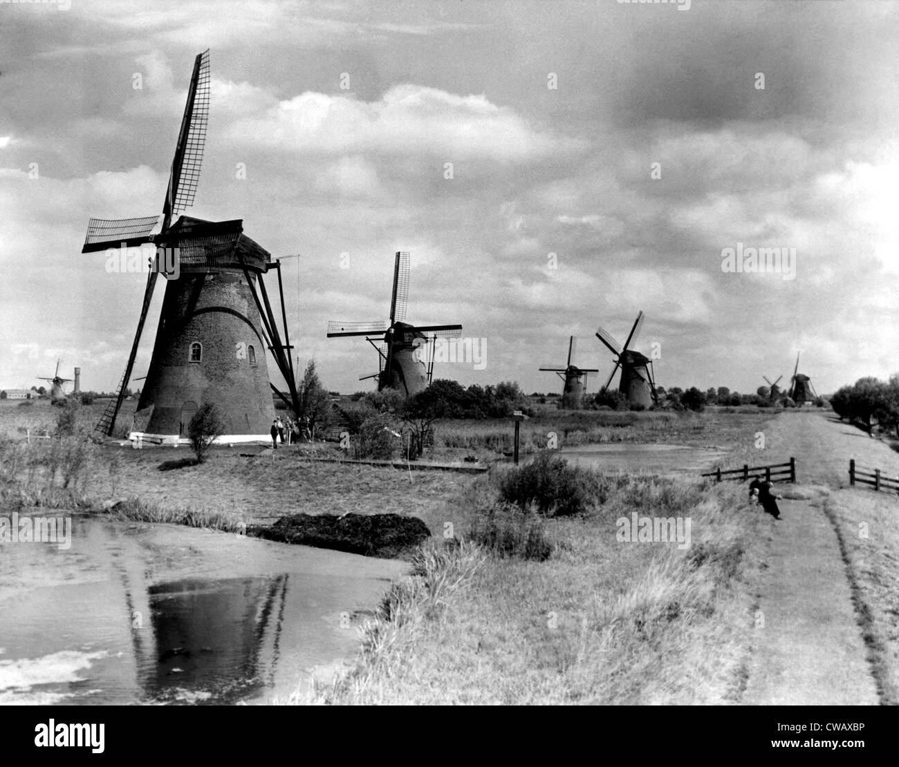 'Windmill Row' vicino a Rotterdam, Olanda, dove esiste la maggior concentrazione di mulini a vento in tutto il mondo. ca. 1949. La cortesia: Foto Stock