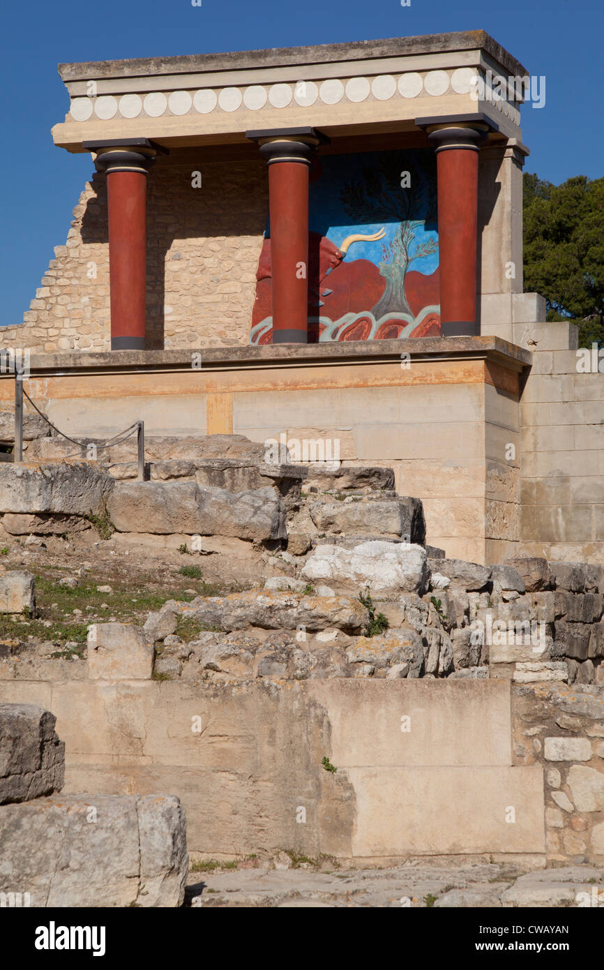 Il Palazzo di Cnosso rovine, Creta, Grecia Foto Stock