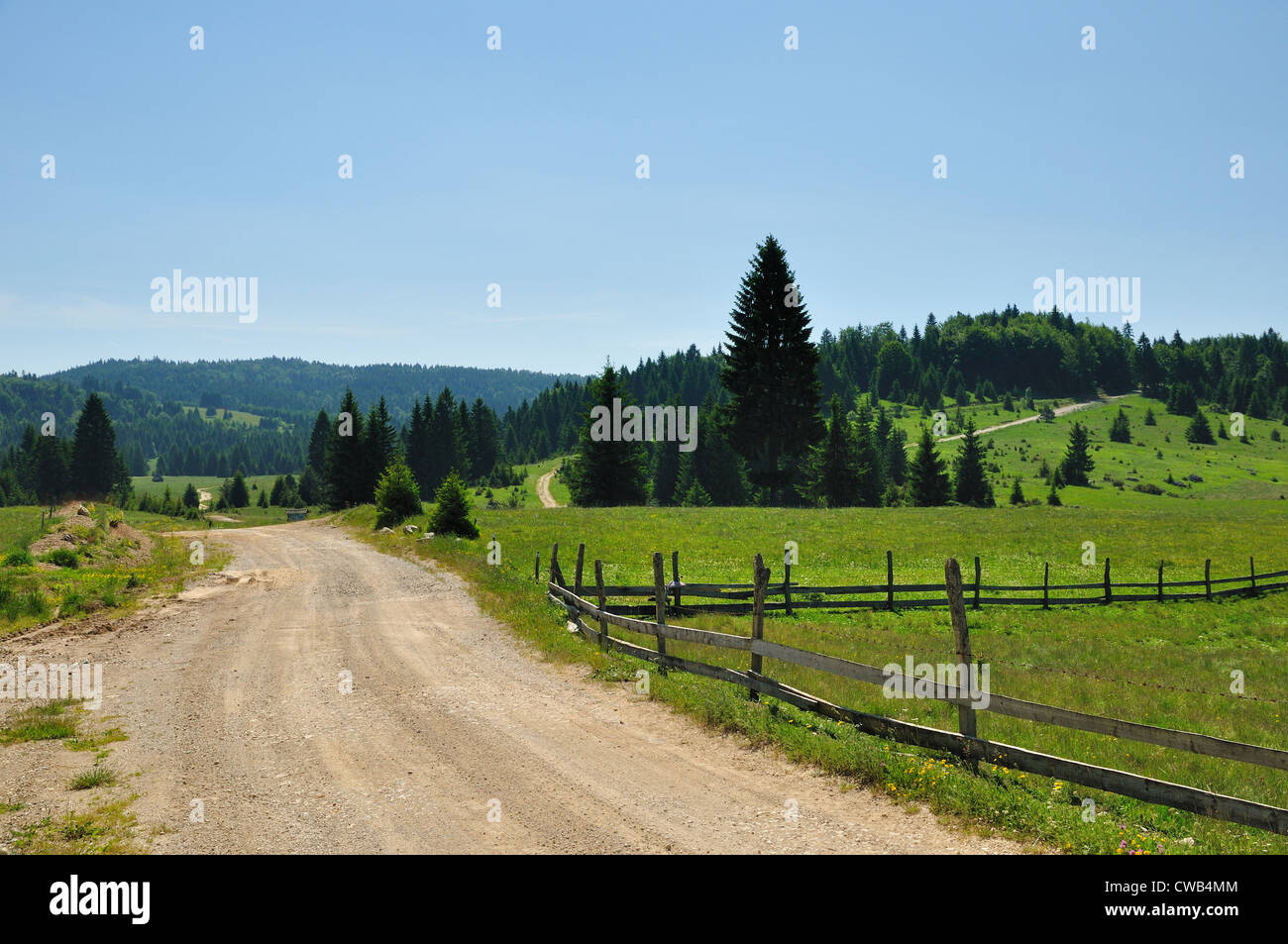 Strada di campagna tramite avvolgimento di campo con alberi. Giorno di estate Foto Stock