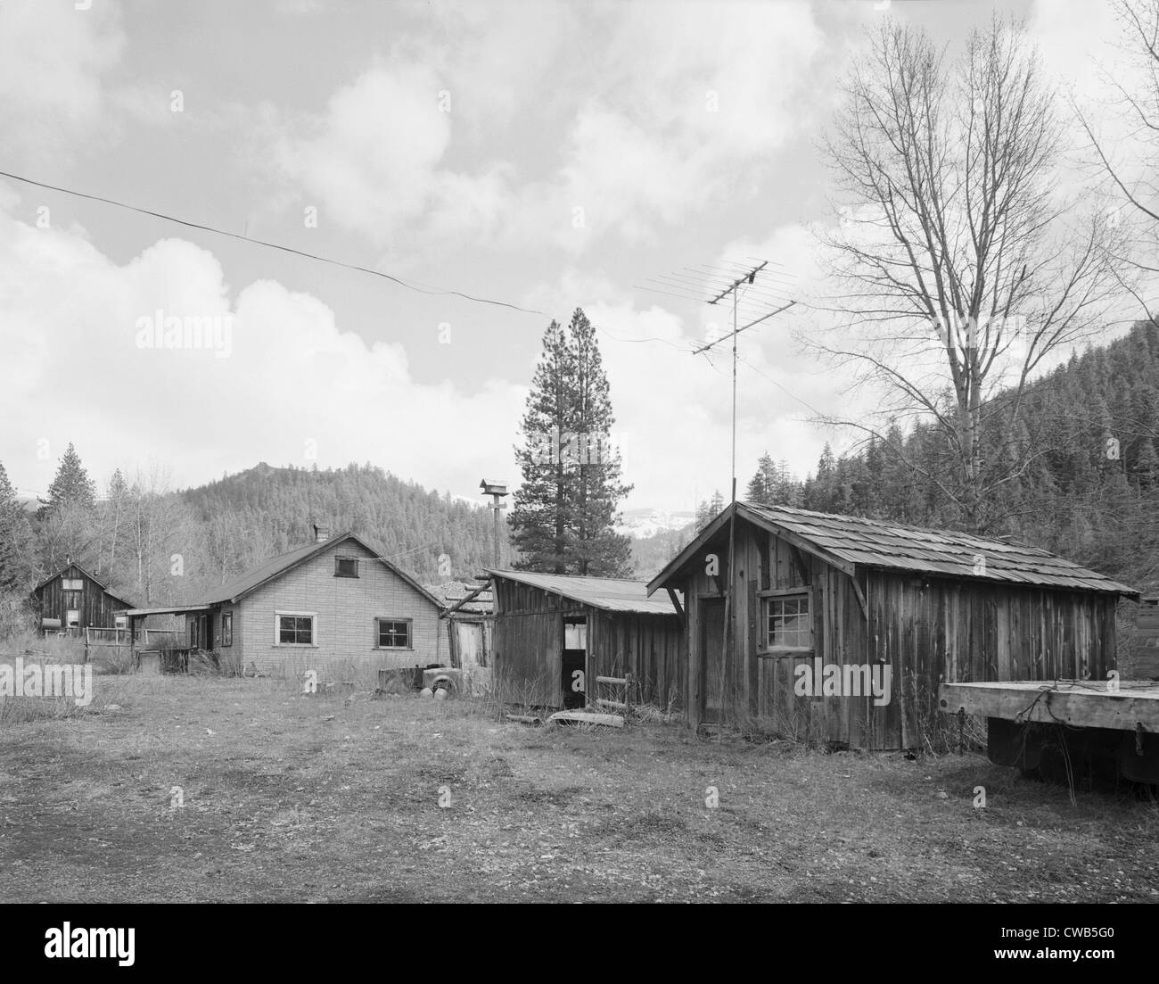 Negozio di tassidermia, Liberty Historic District, Route 2, Cle Elum, libertà, Kittitas County, Washington, fotografia, circa trenta Foto Stock