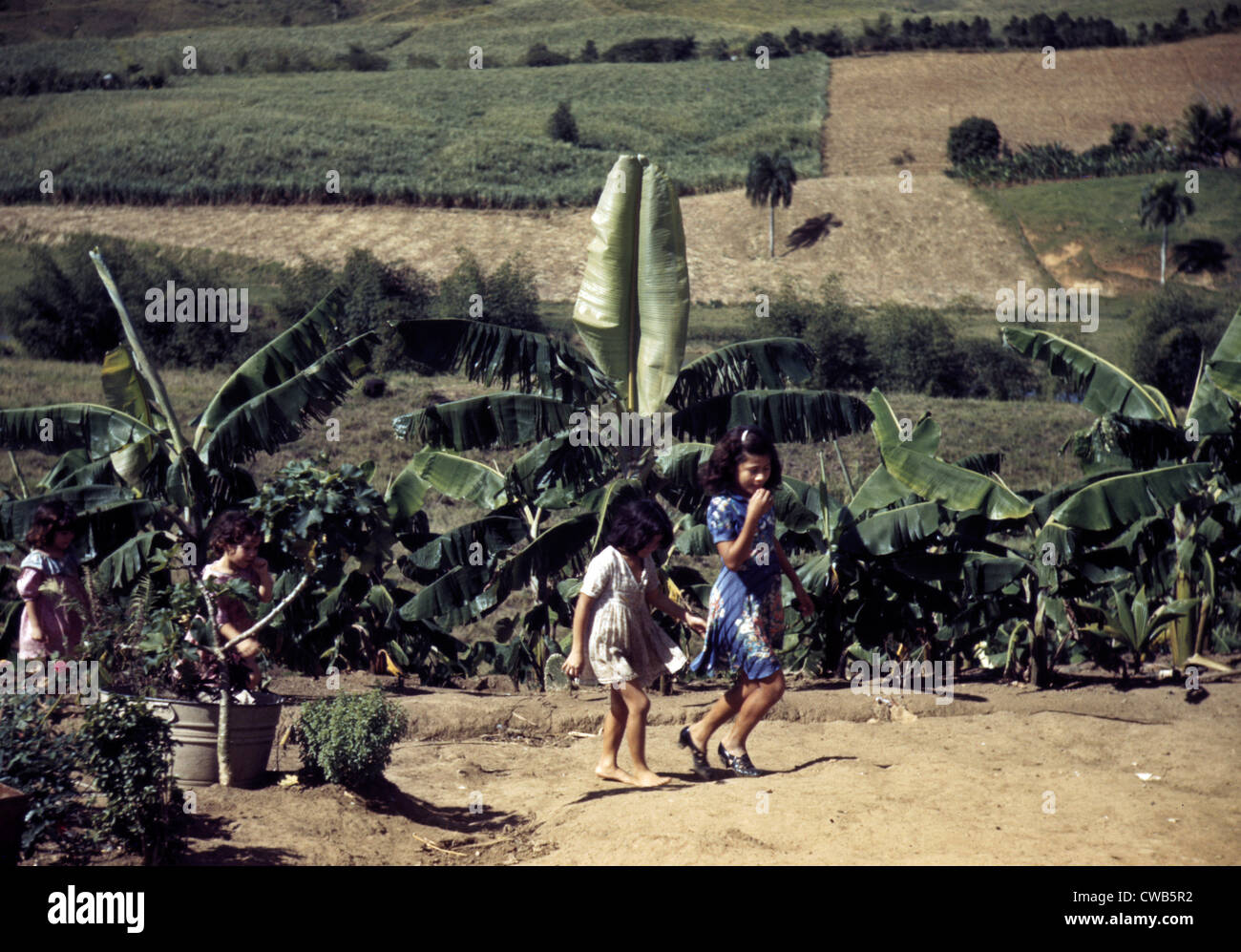 Puerto Rico. Figli di mezzadri, Puerto Rico. Fotografia da Jack Delano, 1941. Foto Stock