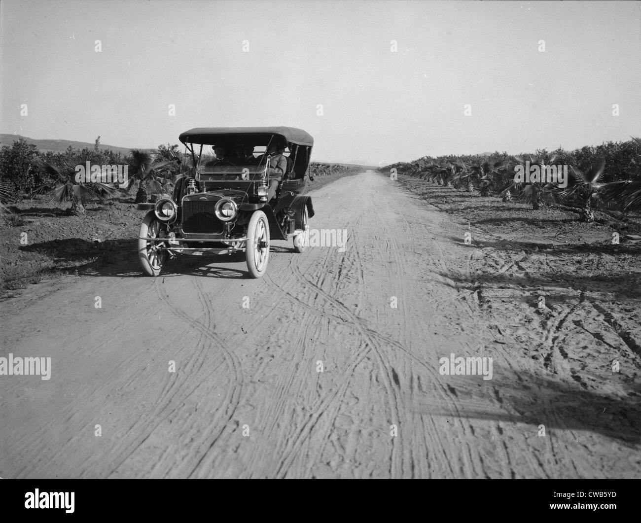 La California, la California il patrimonio di agrumi Progetto di registrazione, vista di Dufferin Avenue e il veicolo, Riverside, Riverside County, Foto Stock