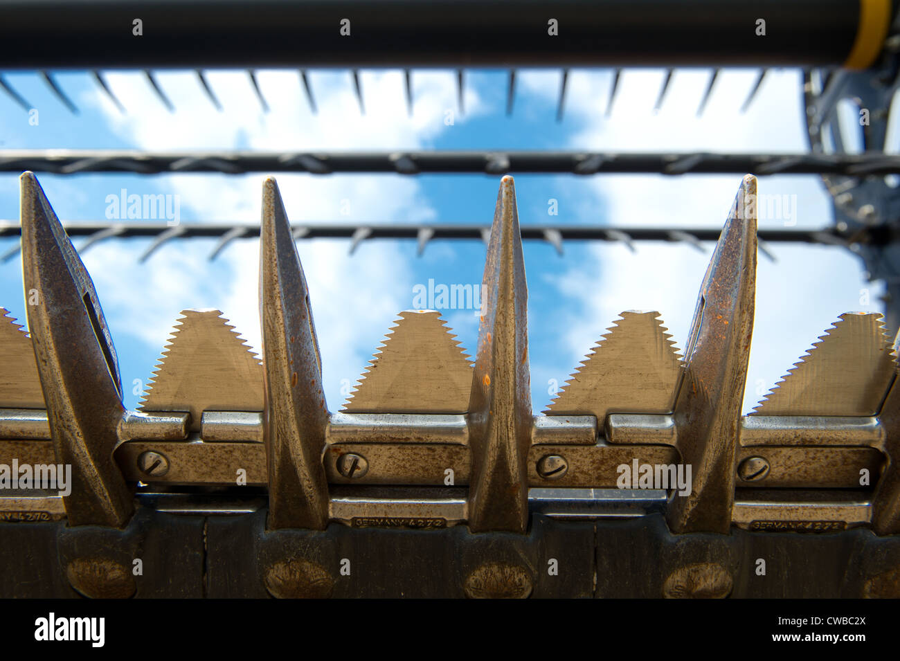 Estremità anteriore di una mietitrebbia per la mietitura dei raccolti Foto Stock