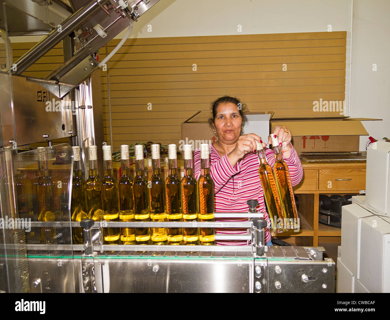 Icewine macchine di imbottigliamento a Lulu Island Winery di Richmond, British Columbia, Canada. Foto Stock