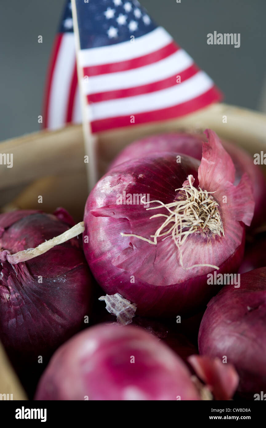 Riva Orientale Virginia cipolle rosse a un mercato agricolo Foto Stock