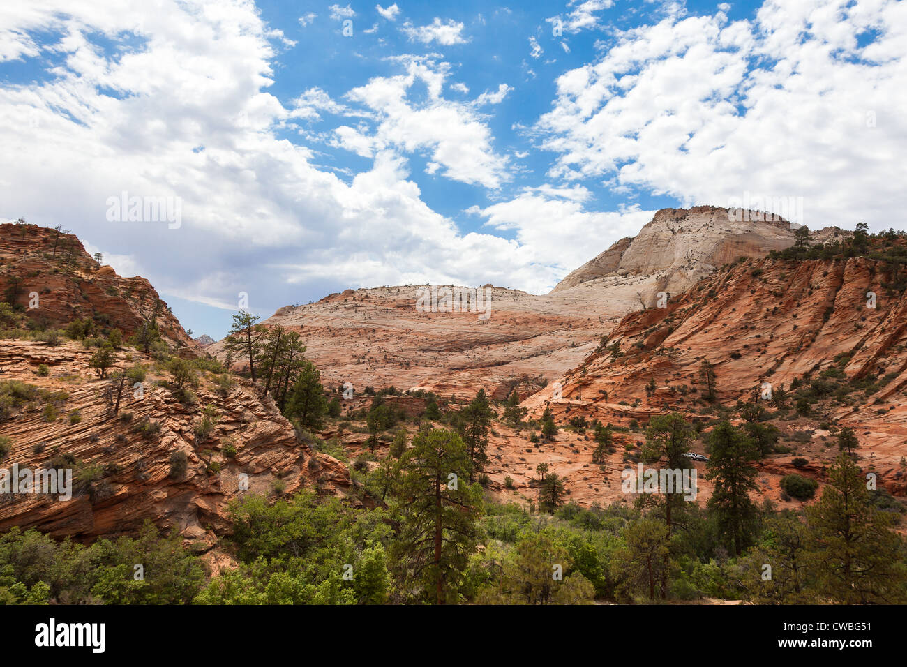 Formazioni geologiche in Zion National Park nello Utah, Stati Uniti d'America Foto Stock