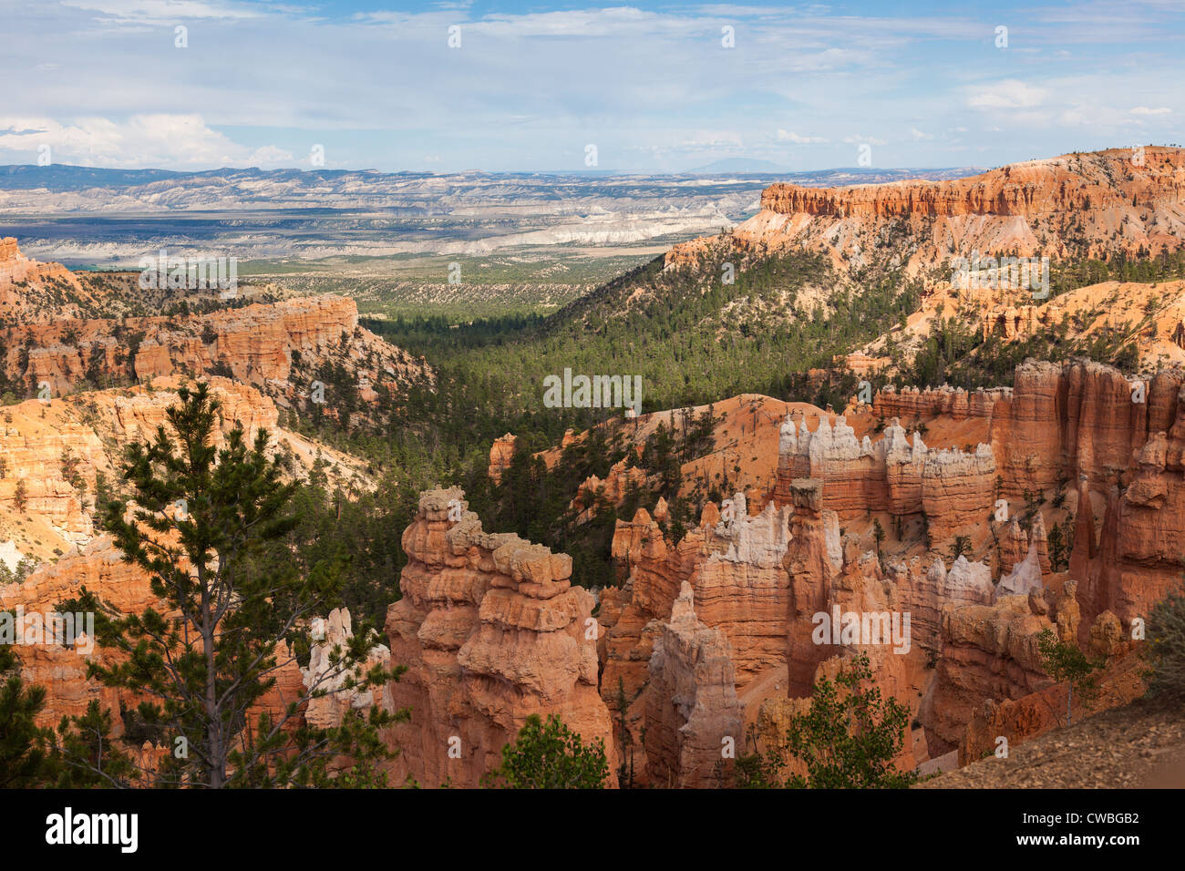 Formazioni geologiche in Bryce Canyon National Park nello Utah - USA Foto Stock