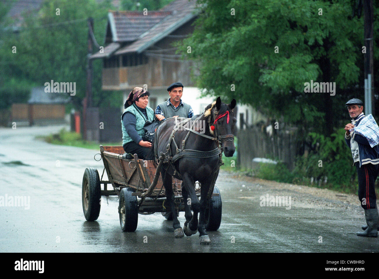 Giovane contadina a cavallo carrello in Alunis, Romania Foto Stock