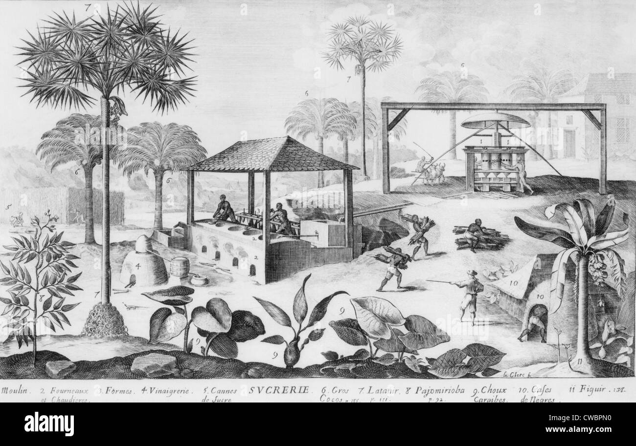 La produzione di zucchero delle Indie Occidentali nel XVII secolo utilizzato un forno di evaporazione (sinistra), Mulino azionato da buoi Foto Stock