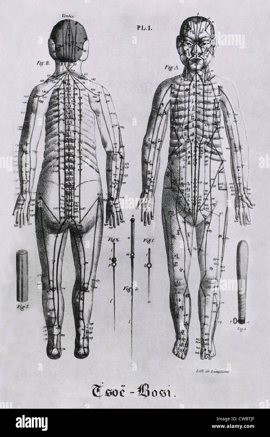 Vista anteriore e posteriore di una figura umana con numerosi punti di agopuntura e dei meridiani identificati. Tra le figure, ma non Foto Stock