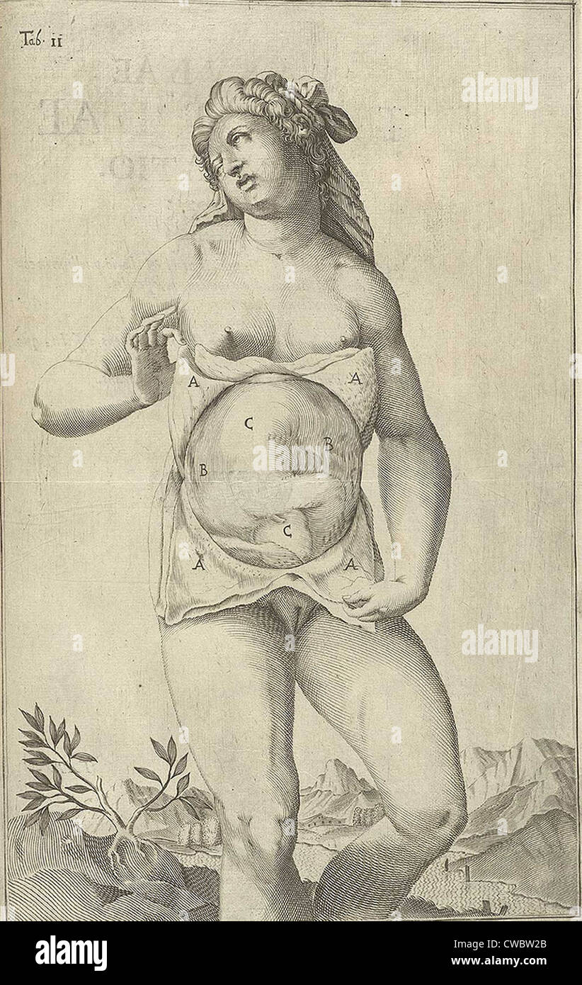Lo sviluppo del feto. Figura femminile con seno esposto la visualizzazione di un feto da Adriaan van de Spiegel, DE FORMATO FOETU Foto Stock