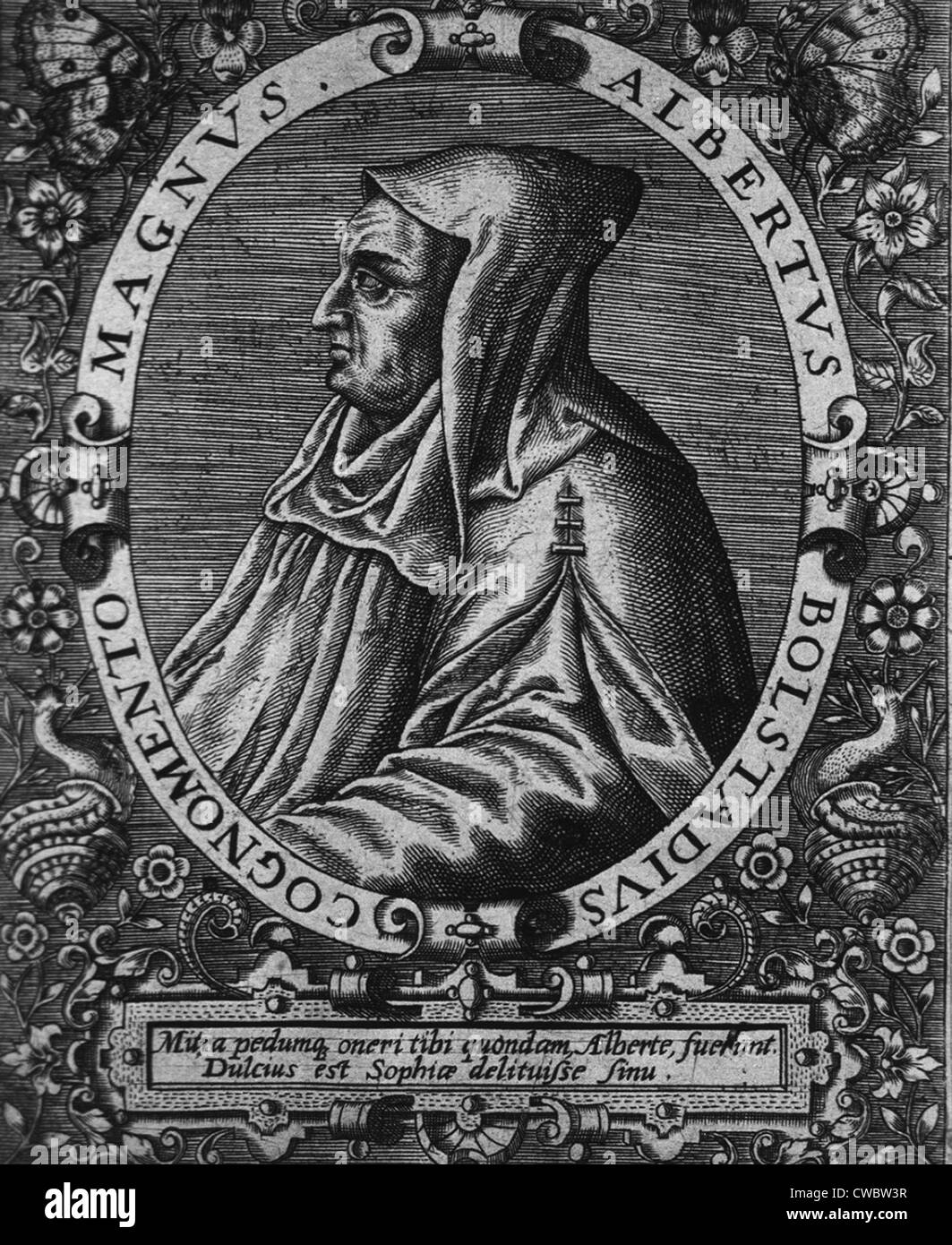 Saint Albertus Magnus (1193?-1280), il vescovo tedesco e filosofo, sostenuto lo studio della natura come un legittimo percorso Foto Stock