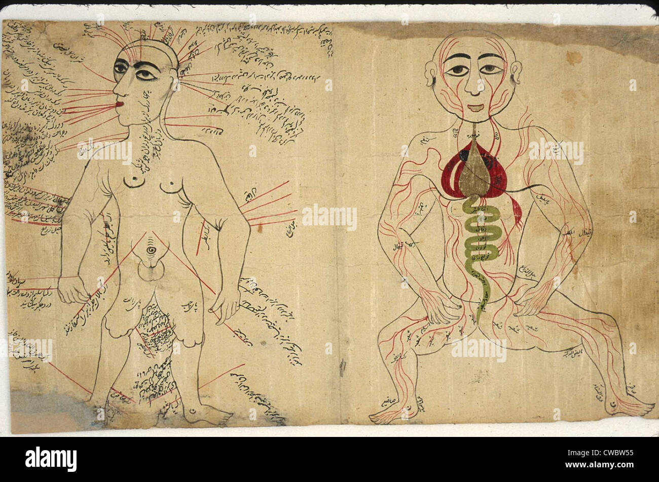Due disegni anatomici da un persiano-lingua enciclopedia medica. La figura a sinistra mostra un salasso punti marcati con su un Foto Stock