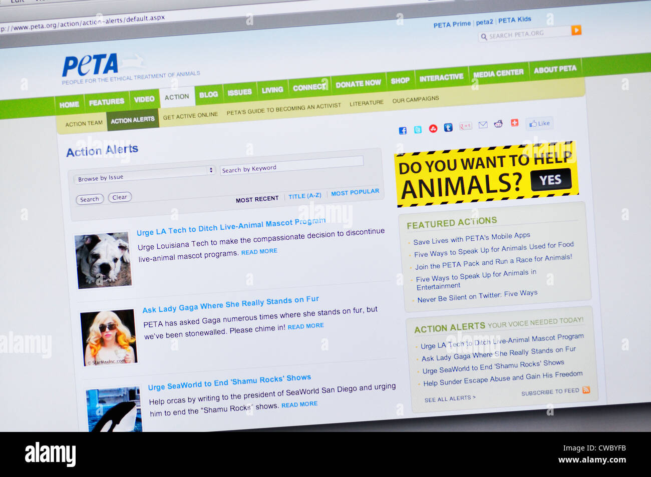 PETA sito - la gente per il trattamento etico degli animali Foto Stock