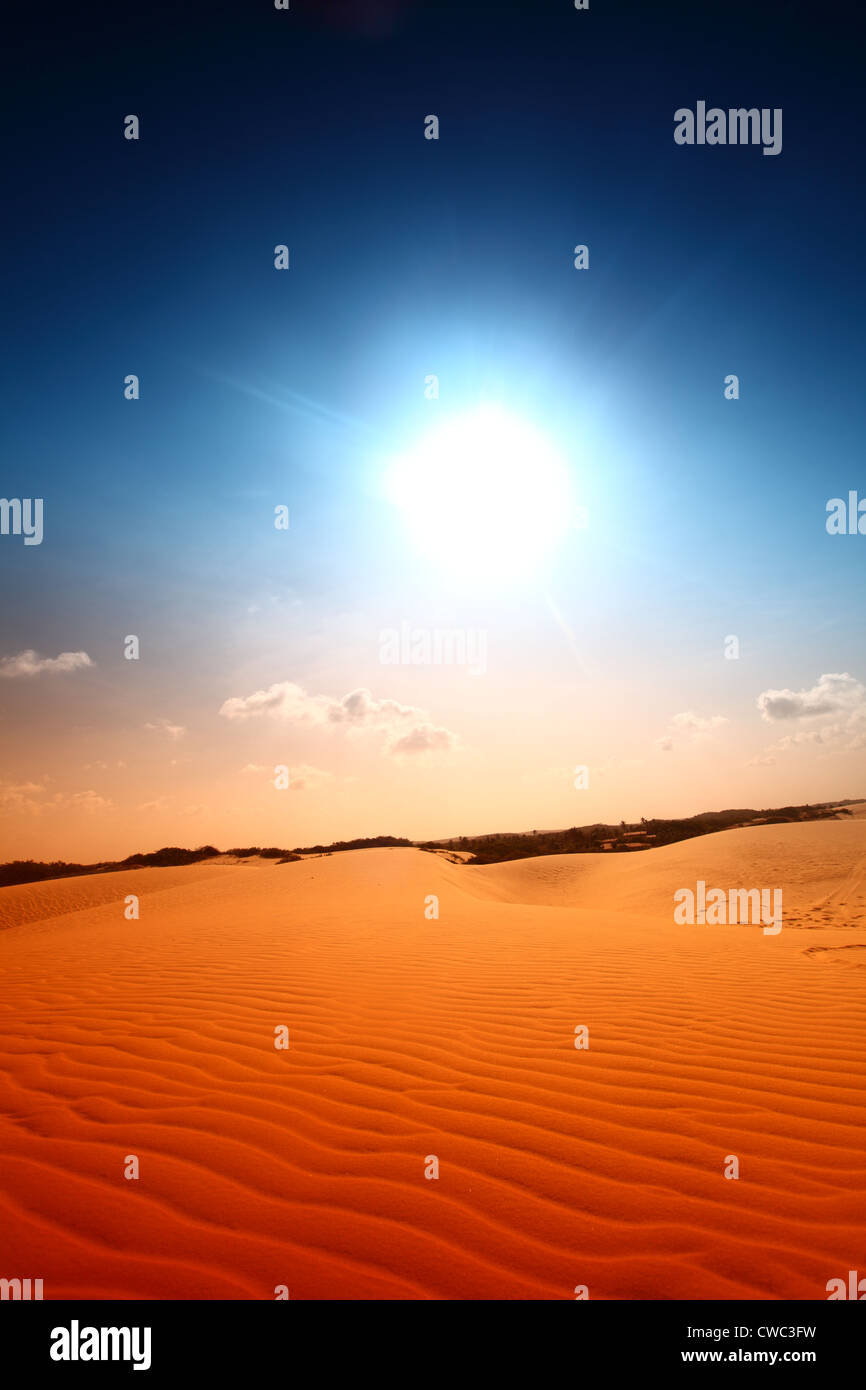 Deserto di sabbia sotto blu cielo soleggiato Foto Stock