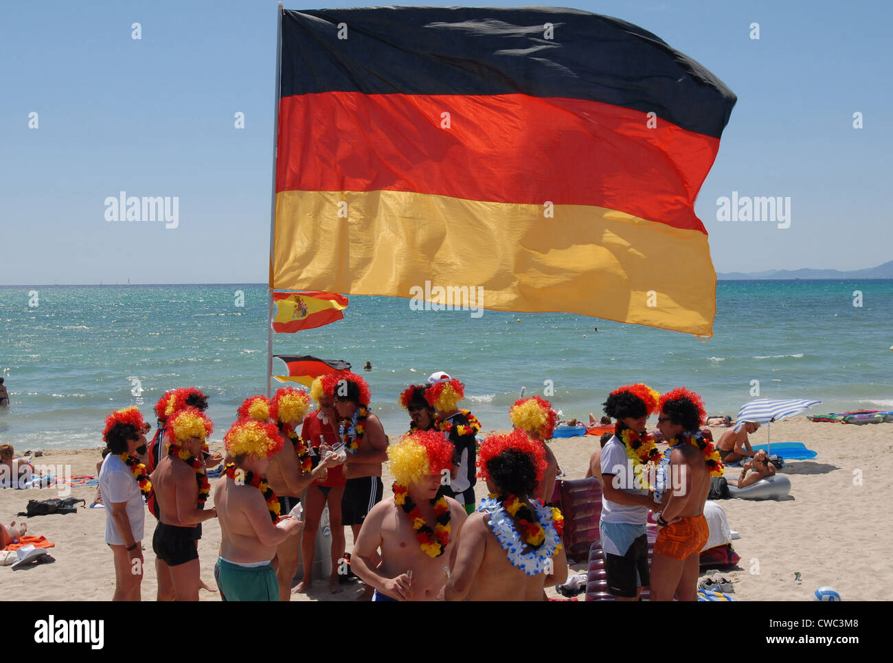 Spagna, Mallorca, lucertole da mare su Ballermann Foto Stock