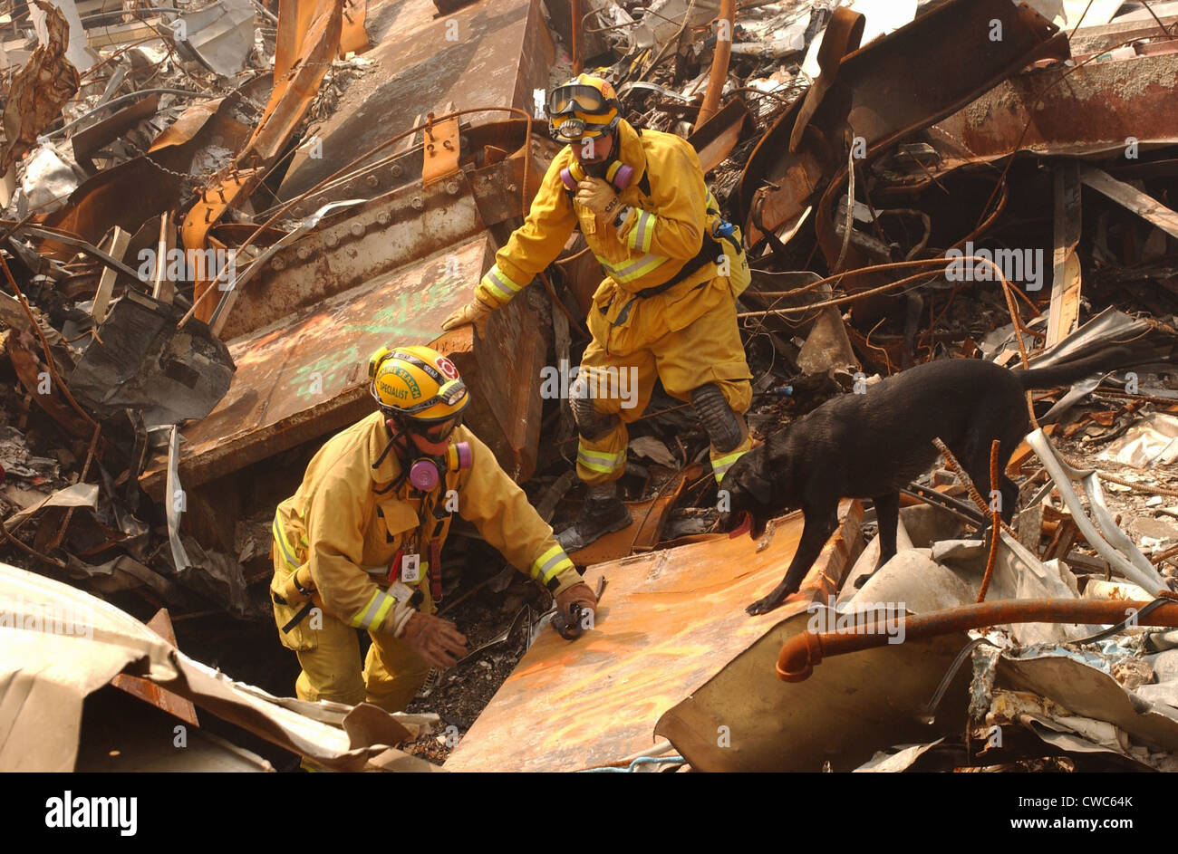 Gli operatori di soccorso dalla California Task Force-8 e un cane da lavoro Billy attraverso la ricerca di macerie per le vittime del settembre Foto Stock