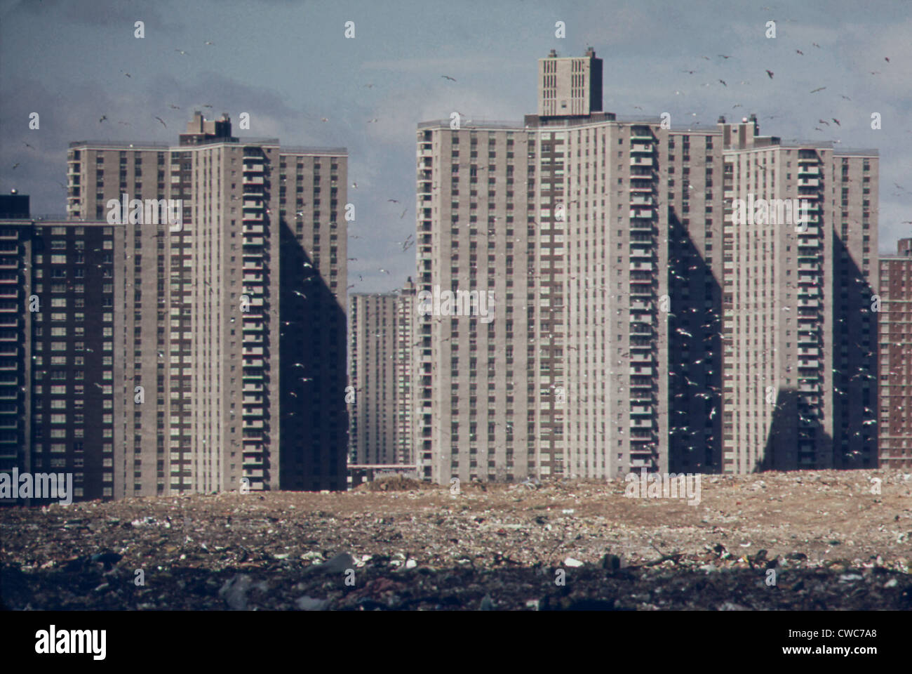 Co-op City situata a Bronx Borough di New York City è uno dei più grandi complessi di appartamenti in tutto il mondo. Costruito su 320 acri di Foto Stock