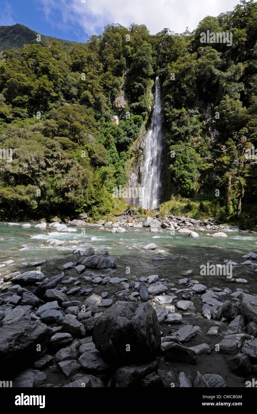 Le fantastiche cascate di 15 metri nella foresta pluviale a Haast Pass-dalla Makarora Road nel Mt Aspiring National Park, South Island, Nuova Zelanda Foto Stock