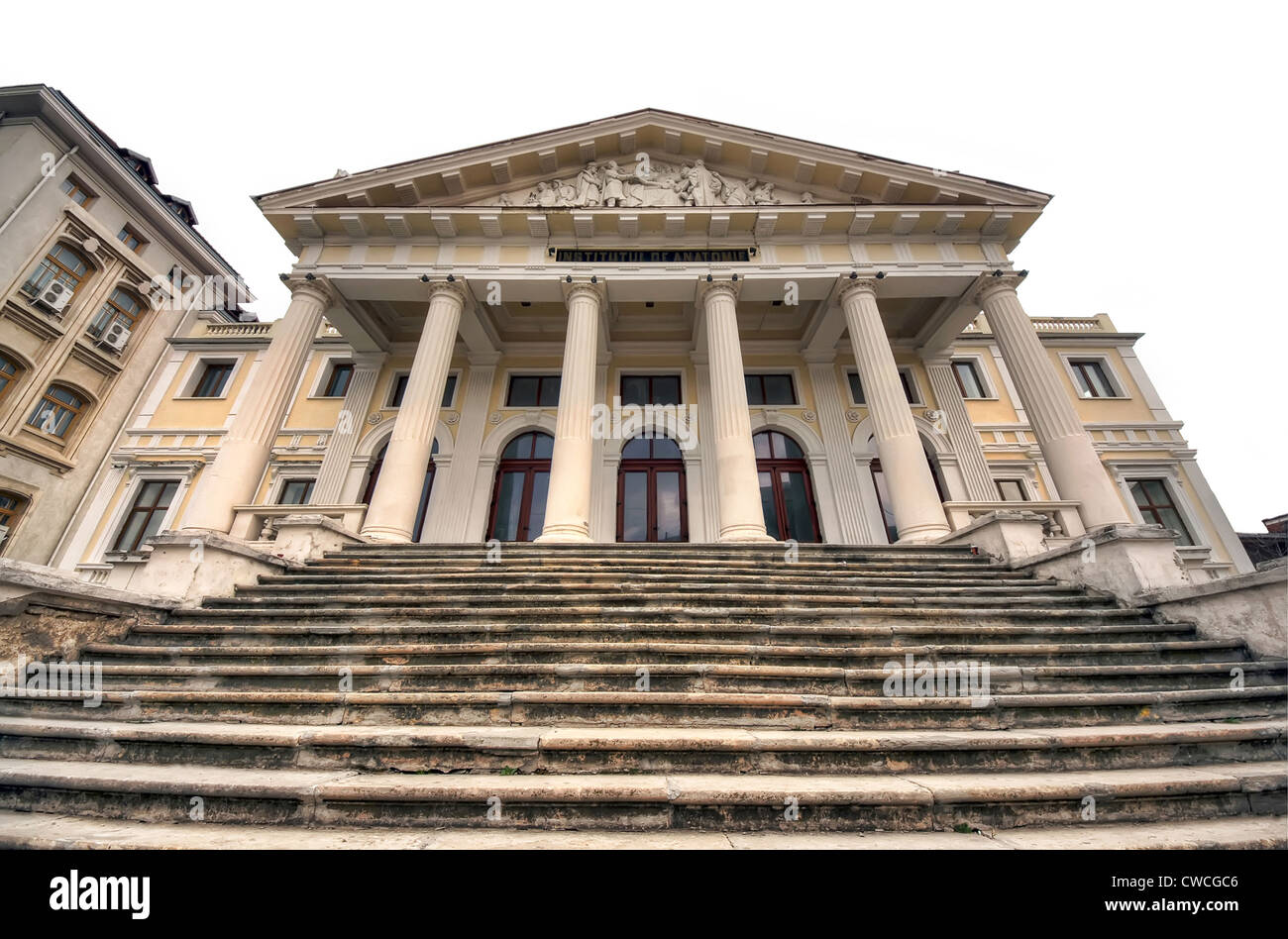 Istituto di Anatomia, città di Iasi, Romania Foto Stock