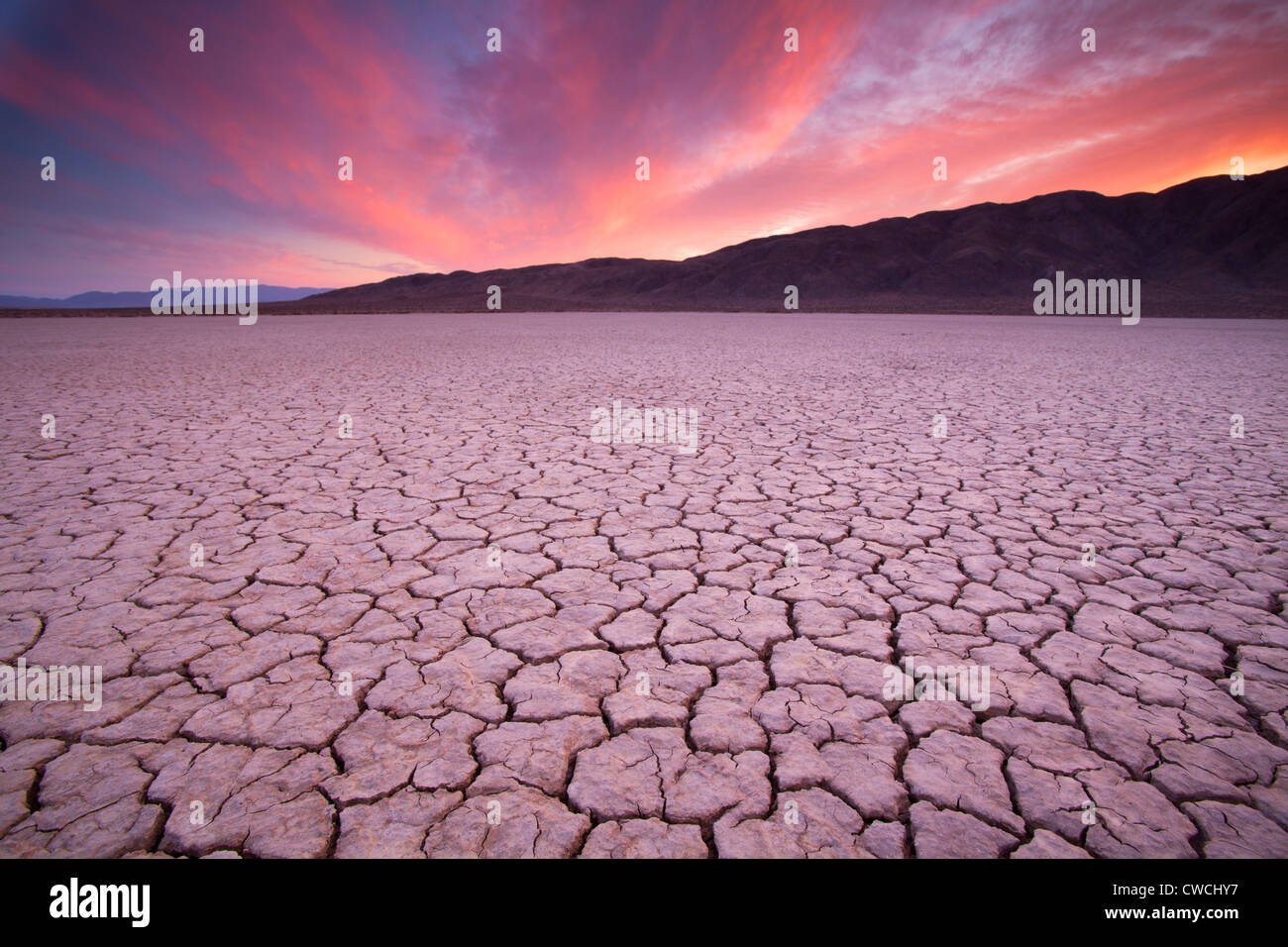 Dry Lake bed, Anza-Borrego Desert State Park, California. Foto Stock