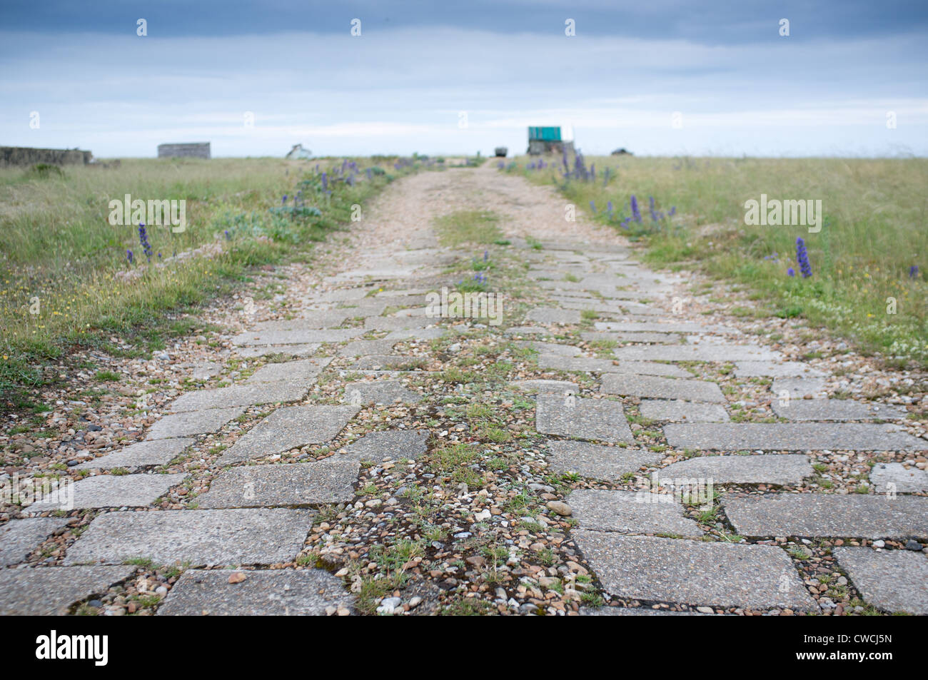Dungeness, Kent, Inghilterra, Gran Bretagna, Foto Stock