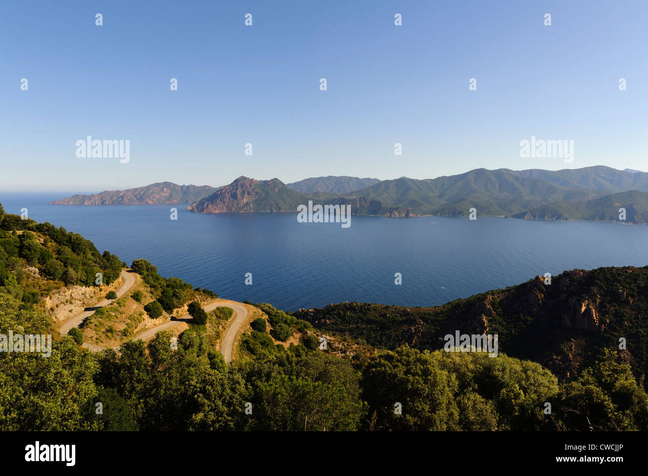 Macchia vicino a Capu Rossu, baia di Porto Corsica, Francia Foto Stock