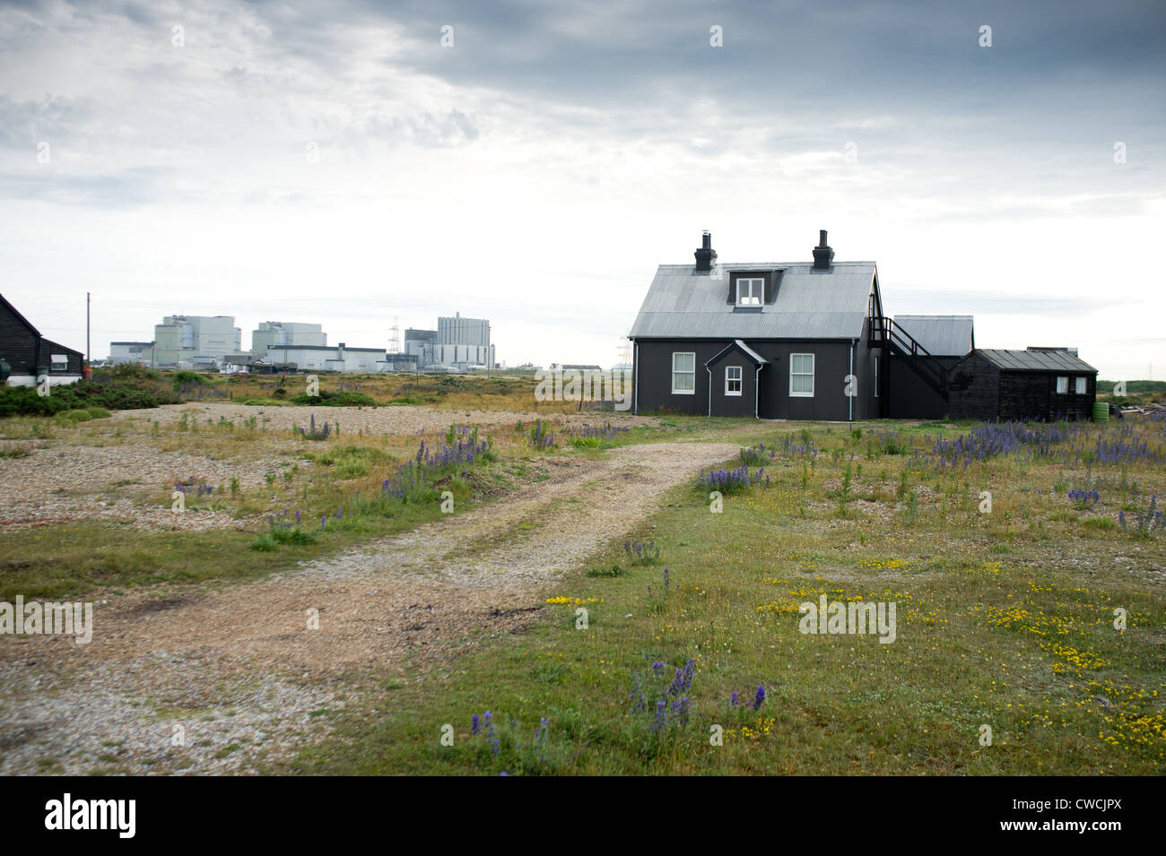 Dungeness, Kent, Inghilterra, Gran Bretagna, Foto Stock