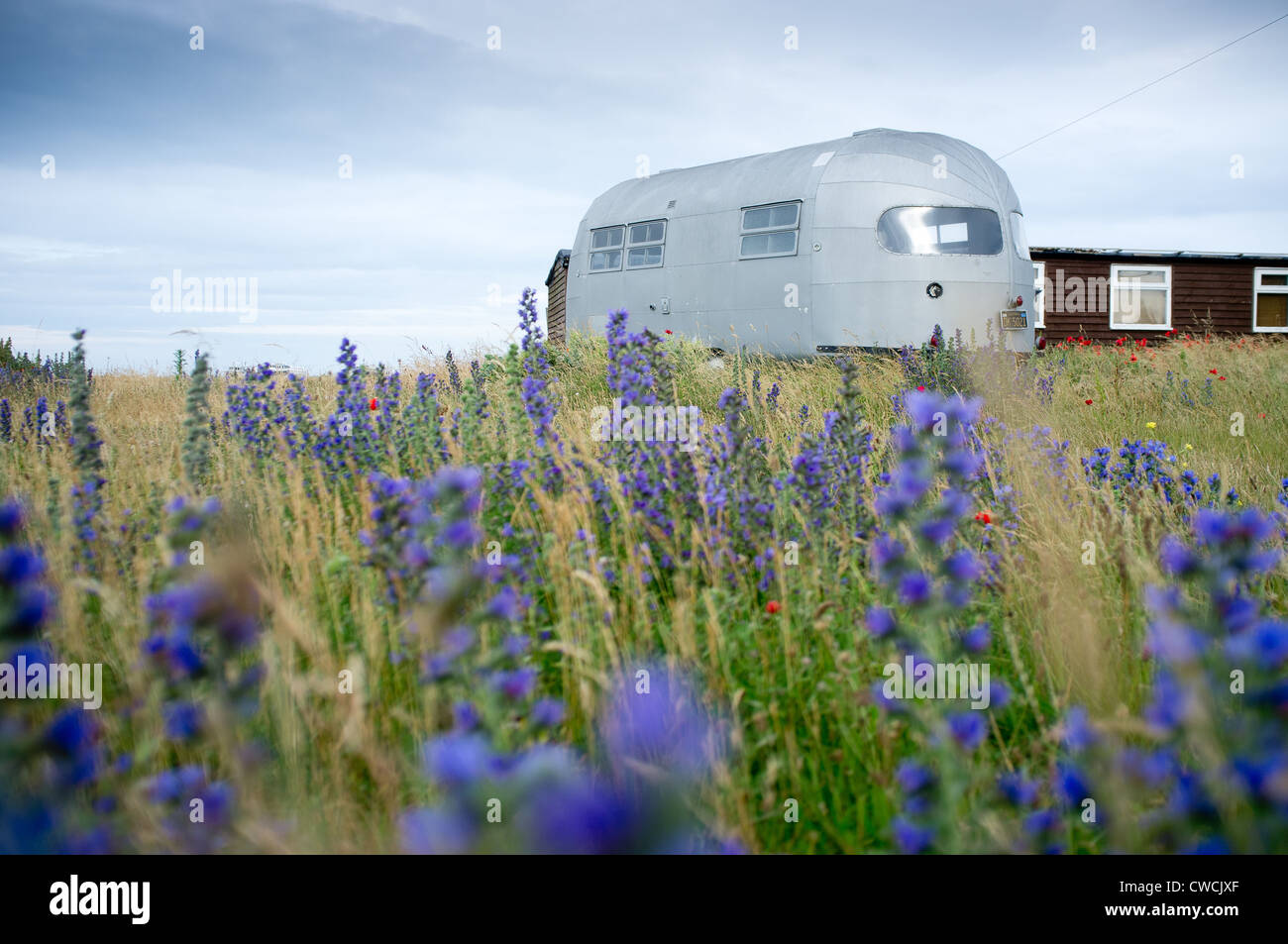 Dungeness, Kent, Inghilterra, Gran Bretagna, Foto Stock