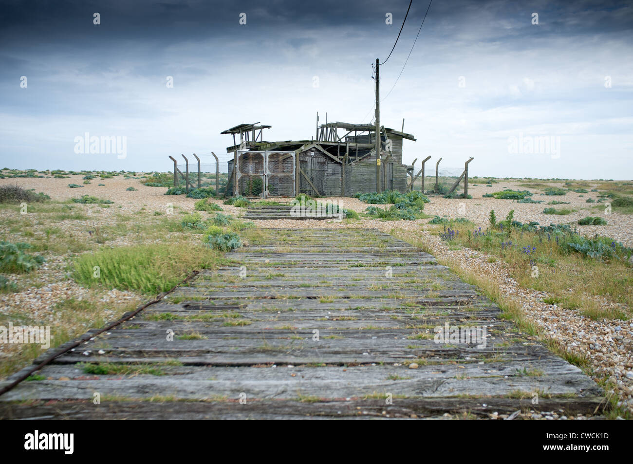 Dungeness, Kent, Inghilterra, Gran Bretagna, Foto Stock