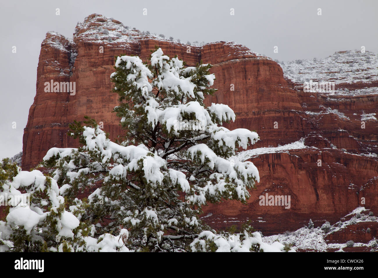In inverno la neve, Sedona, in Arizona. Foto Stock
