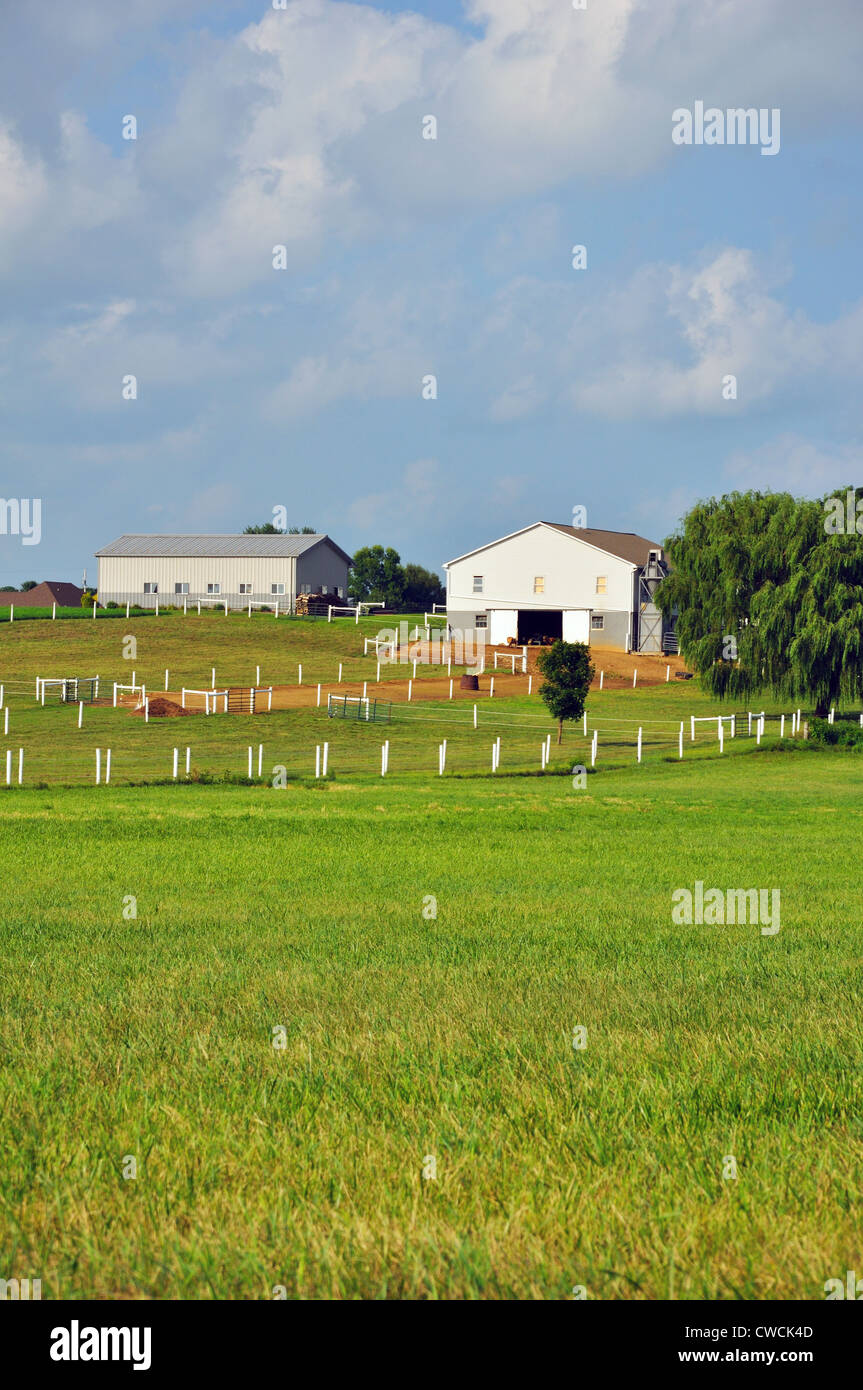 Fattoria Amish, Lancaster County, Pennsylvania, STATI UNITI D'AMERICA Foto Stock