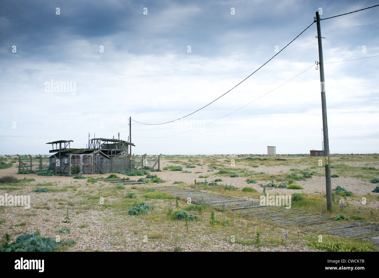 Dungeness, Kent, Inghilterra, Gran Bretagna, Foto Stock