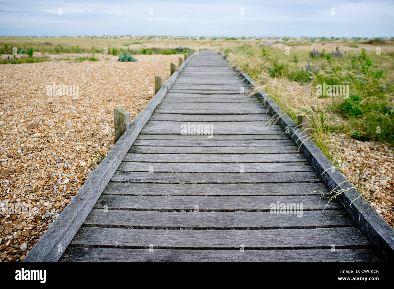 Dungeness, Kent, Inghilterra, Gran Bretagna, Foto Stock