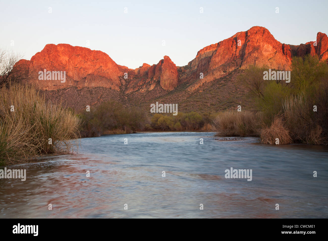 Il fiume di sale, Tonto National Forest, a est di Phoenix, Arizona. Foto Stock