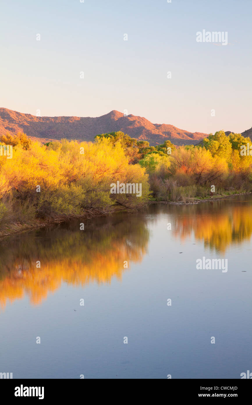 Verde fiume, Fort McDowell Yavapai nazione ad est di Phoenix, Arizona. Foto Stock