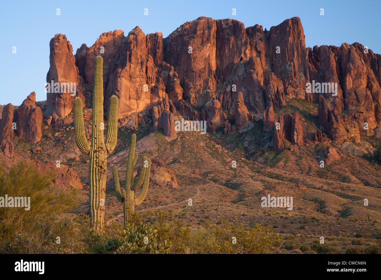 Lost Dutchman State Park, Arizona. Foto Stock