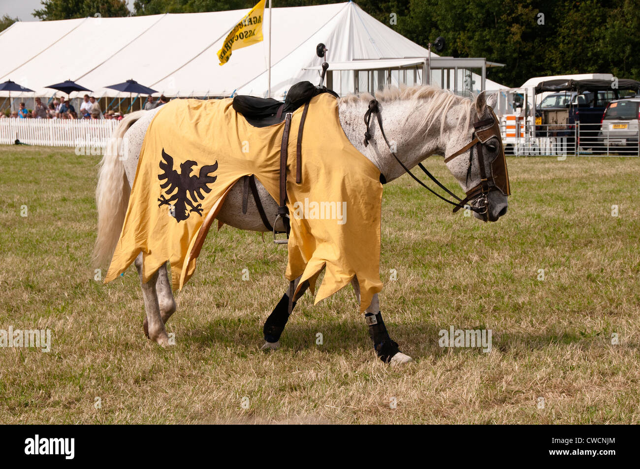 Giostra cavallo in piedi dopo aver perso il suo cavaliere Chertsey Agricultural Show 2012 Surrey in Inghilterra REGNO UNITO Foto Stock